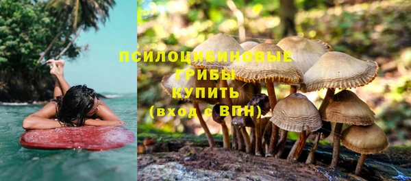 2c-b Балахна