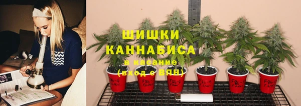 spice Снежинск